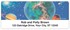 Celestial Bodies Address Labels Image 1