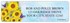 Gail Marie New Day Address Labels Image 2